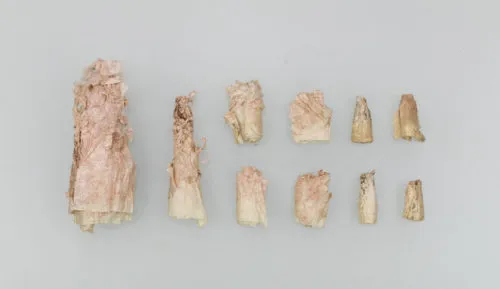 大虫神社経塚出土の経巻残片